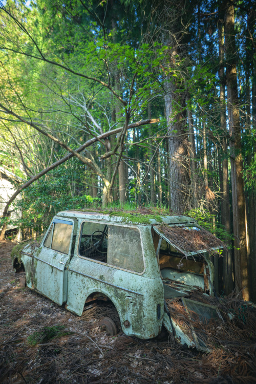 廃ゼットバン→詳細 Abandoned Hijet van.