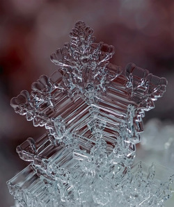 gaksdesigns:  Macro Photographs of Ice Structures and Snowflakes. via Colossal  mentira que é assim