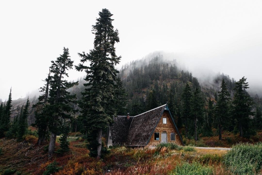 thechapterfiveblog:  Maybe all this waiting - all this treading water in the pool