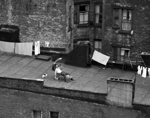 furtho:  Drinking beer on a rooftop, New York (via NY Daily News) 