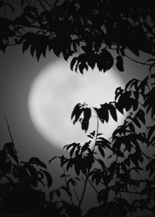 cavegirl66:Full Moon