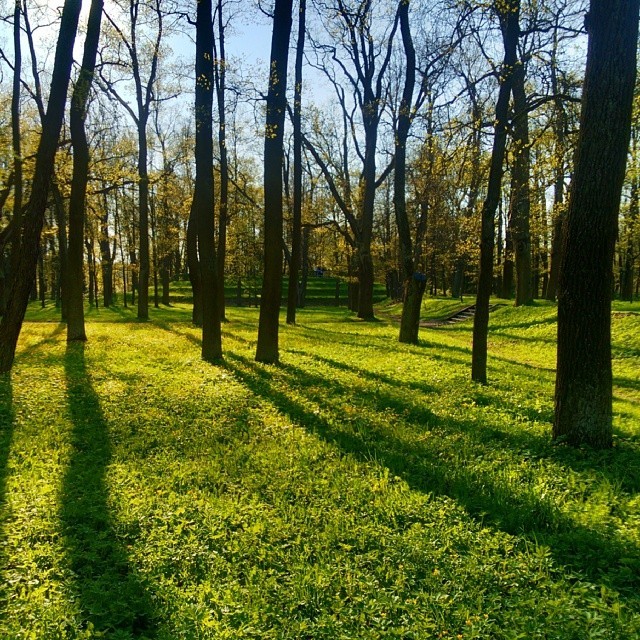 #Heaven My #precious #favorites  #Gatchina / #May, 2013  #perfect #sky &amp;