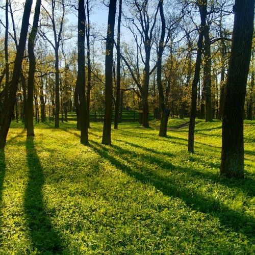 #Heaven My #precious #favorites  #Gatchina / #May, 2013  #perfect #sky & #fresh #air  #trees #colors #colours #landscape #travel #beauty #beautiful #Гатчина #Россия #парк #природа #небо #красота #follow