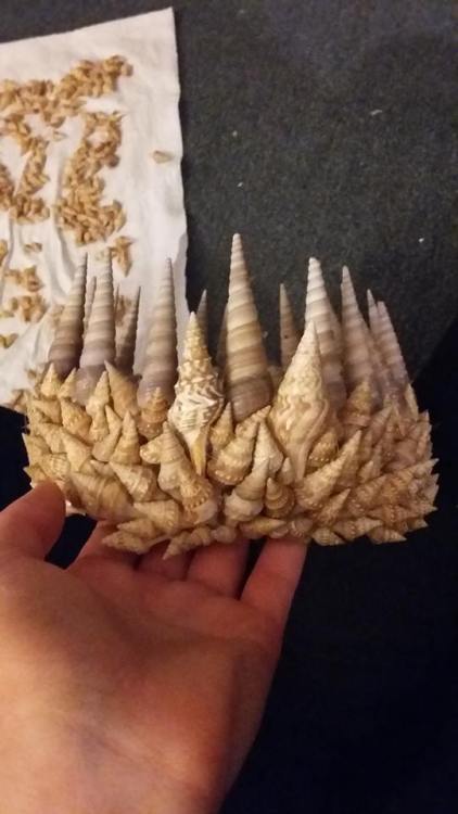 skaletal:broliloquy:skullamity:skaletal:Once upon a time, I made a joke about mermaid crowns actuall