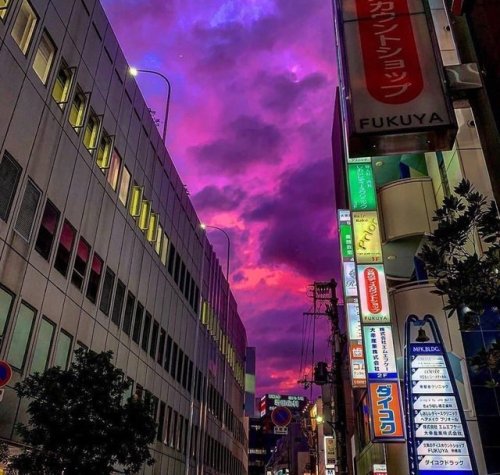 Insider: 12 Oct, In Japan, the sky turned purple due to typhoon Hagibis. This peculiar weather 