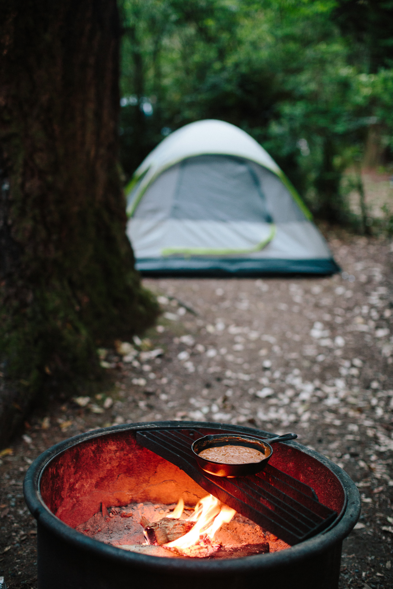 kasieisdell:Redwoods | California