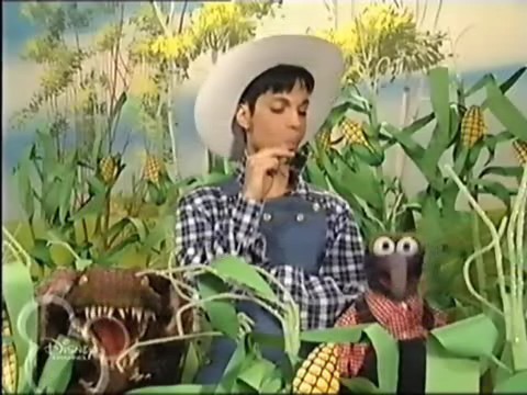 toughpigs:  Prince and the Muppets.