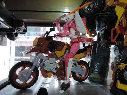 MMC Arcee + Hasbro Wreck-Gar