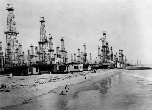 ryanpanos:   Drilling for oil on Venice Beach | Via Native Americans first discovered oil in Califor
