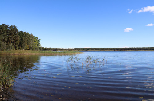 Lake Vänern near Värmlands Säby, Sweden.