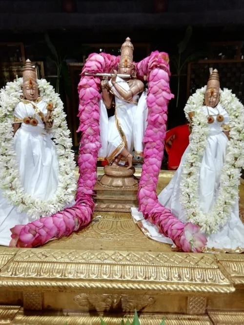 Krishna with Rukmini and Satyabhama at Thiruchanur theppotsavam, Tamil Nadu