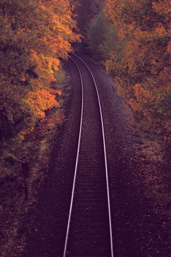 4nimalparty:  Autumn Railway (by krelle) 