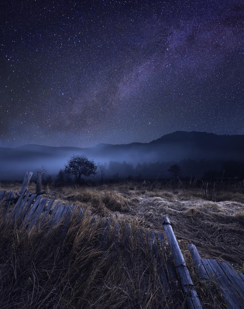 radivs:  Quiet Moment in Late Autumn by eleven 