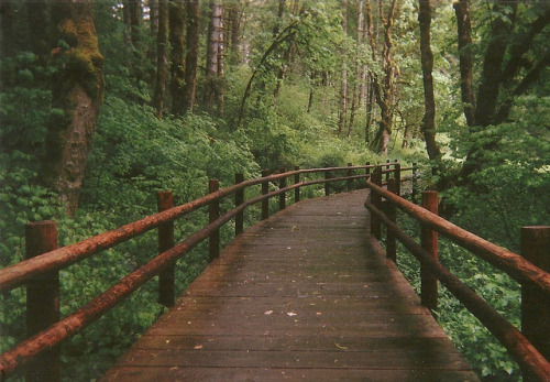 arquerio:untitled by catieleigh on Flickr.