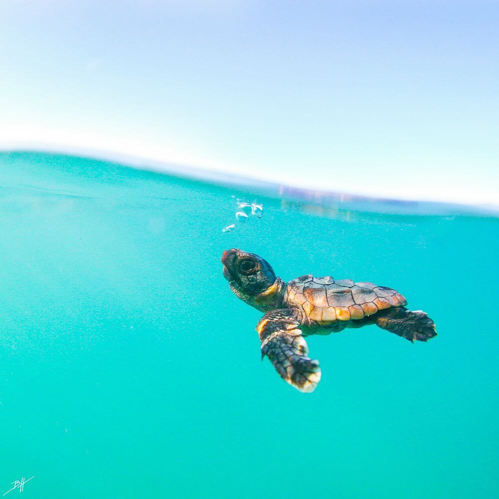 atraversso: Summer Is Coming - By:  Ben Hicks Photographer