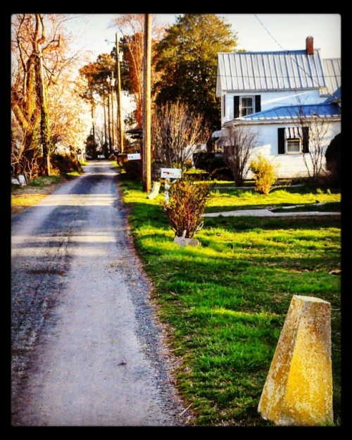 Smith Island#landscape #colorphoto #composition #colorartphoto #artphoto #artphotography (at Smith