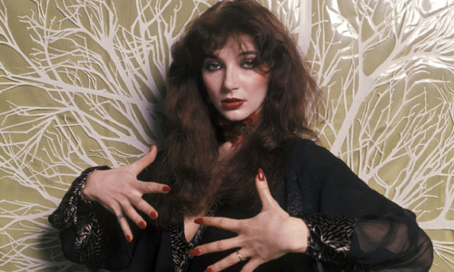 kate bush