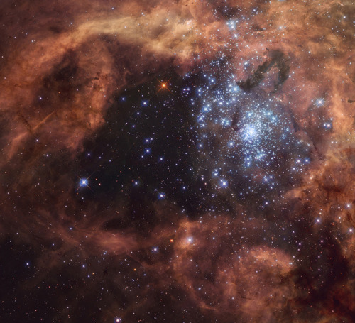 kenobi-wan-obi: 30 Doradus by Steve Byrn R136 Region of the Tarantula Nebula (also known as 30 Dorad