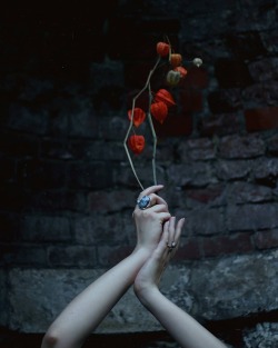 somardani:Photo by:  Natalie Ina