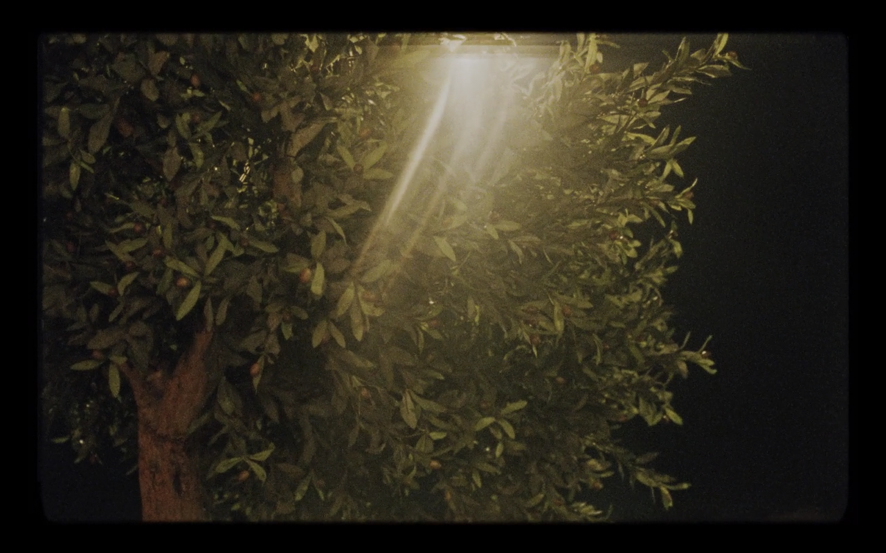 ddzzaaii:  happy as lazzaro dir. alice rohrwacher https://www.filmcomment.com/article/hope-us-yet/
