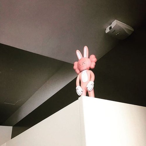 TOP uploaded a photo of KAWS Original Fake Medicom 2002 Pink ACCOMPLICE Bunny Rabbit Figure Vinyl To