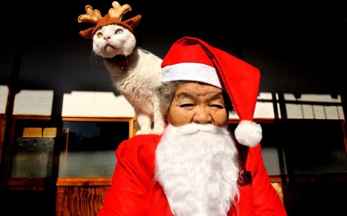 kinh:  thecatdogblog:  Nine years ago, Japanese photographer Miyoko Ihara began snapping pictures of the relationship between her grandmother and her odd-eyed white cat. Miyoko’s grandma Misao found the abandoned cat in a shed on her land and the pair