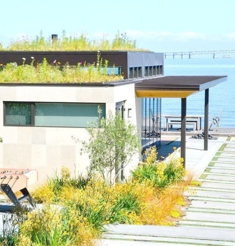Side Yard - Industrial Deck