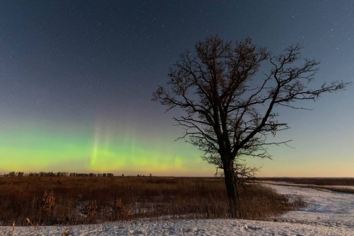 One more shot from March 2, 2021 with more distinct pillars in the aurora display.