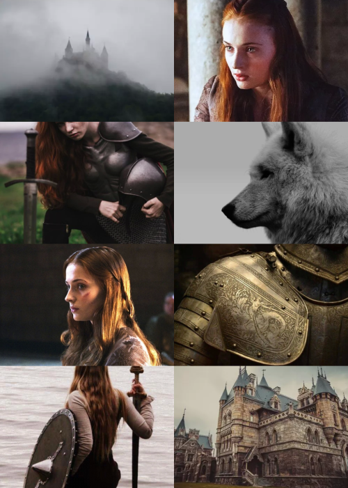 whensteros: Sansa Stark - warrior aesthetic “The northern girl. Winterfell’s daught