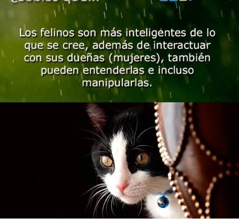 Mi sra. está totalmente manipulada….