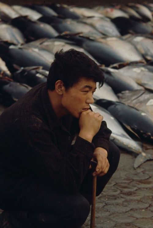 s-h-o-w-a:Tokyo fish market, 1964Ph. Brian Brake