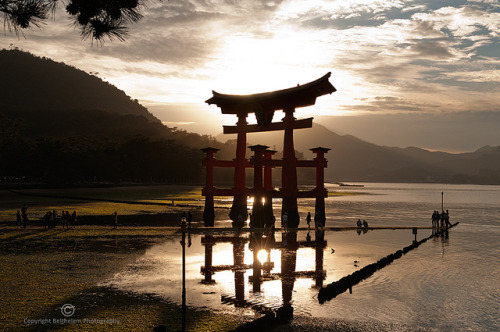 2.The floating red Torii of Miyajima - Hiroshima by belthelem on Flickr.