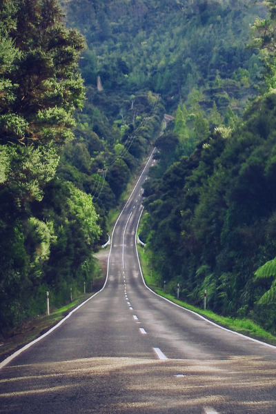 nature-nights:  ☼ nature blog ☼
