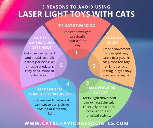 andolianss:catsbeaversandducks: IMPORTANTVia Pam Johnson-Bennett Doesn’t mean lasers are 