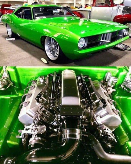 jacdurac:  Love this ‘cuda