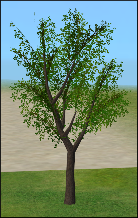 Creator Resources - BioShock Infinite Tree MeshesHere are the meshes and textures (obj. & png) f