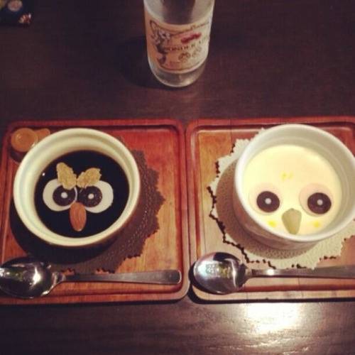 moonfall-requiem: Forget cat cafes. Or black cat cafes. Or penguin bars. Japan’s latest novelt