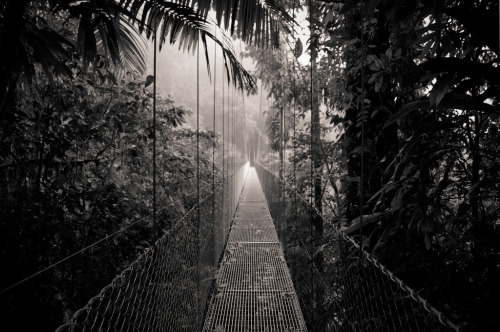 itscolossal:  John Suler. Costa Rica.