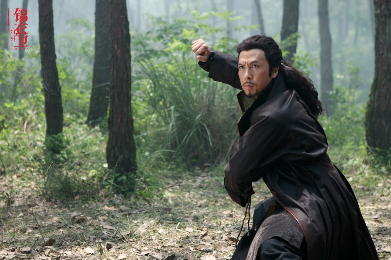 feiyueshoescanada:Kung Fu master— Donnie Yen, who always performs with a brave