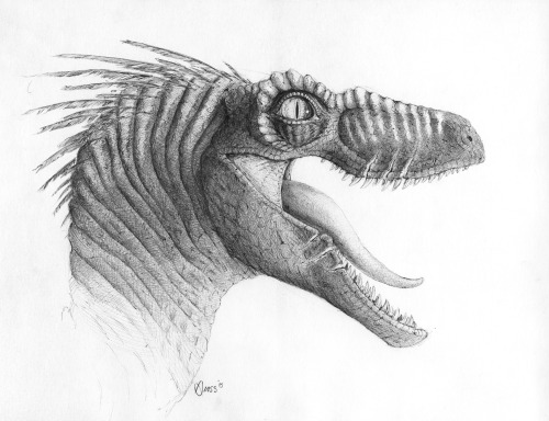 Velociraptor by Brett Gross. Ball-point pen on sketch paper. 11″x14″.