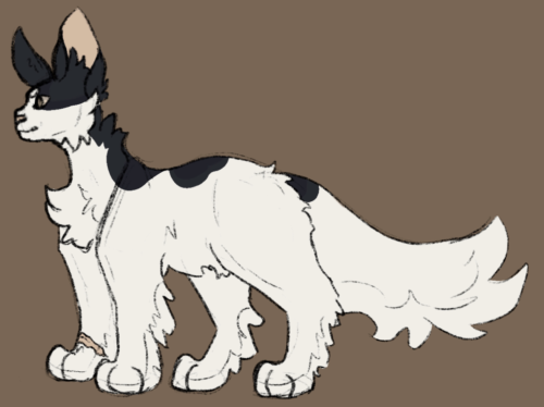 Doodled One Of My Favorite Clan Gen Clans, I Love TornClan So Much, Even If There's Only Four Of The