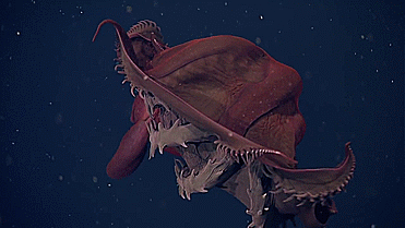 earthponi:  unexplained-events:   Vampyroteuthis Infernalis The name translates to “Vampire squid from hell.” It is not a vampire or a squid, it is actually an octopus. The vampire squid releases bio-luminescent ‘ink’ when defending it self