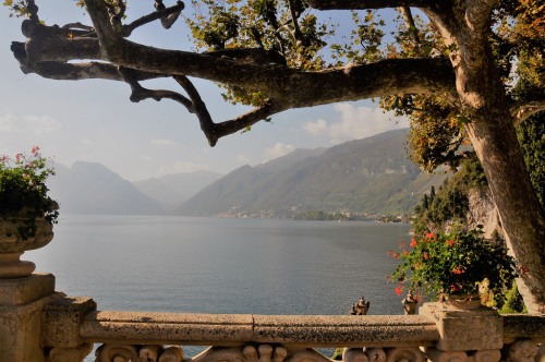 italyphotos: View of Lake Como through the trees from the grounds of Villa Balbianello [1024 x 680][