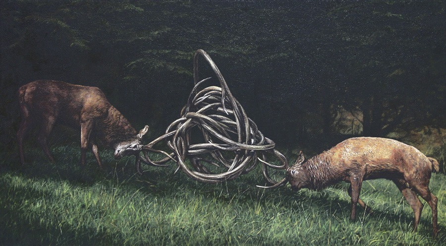 crossconnectmag:  Queensland based Lisa Adams is a self-taught, realist artist who