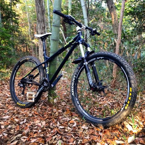 beefmtb:  mizunyang on Instagram 11/23 バイクロアからの6トレ