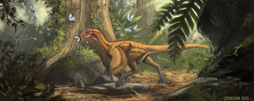 paleoillustration:Dromaeosaurs by Jonathan Kuo