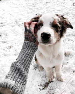 inkstaboy:Snowy days 🐶❄️ 