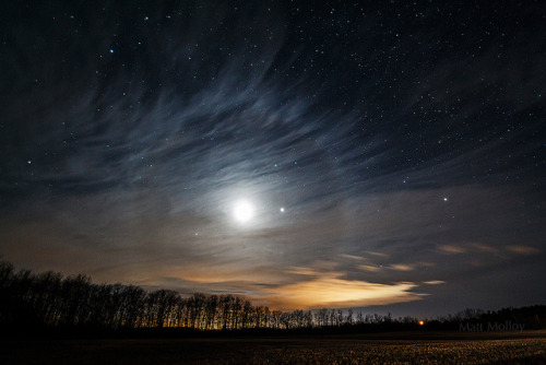 spacettf: Moon Halo Hairdo by Matt Molloy on Flickr.