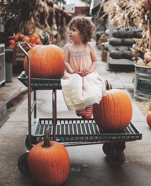 adorably-baby:Instagram: this.little.wandering