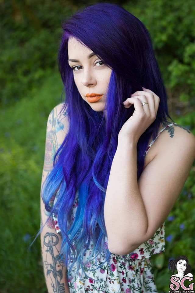 Plum Suicide